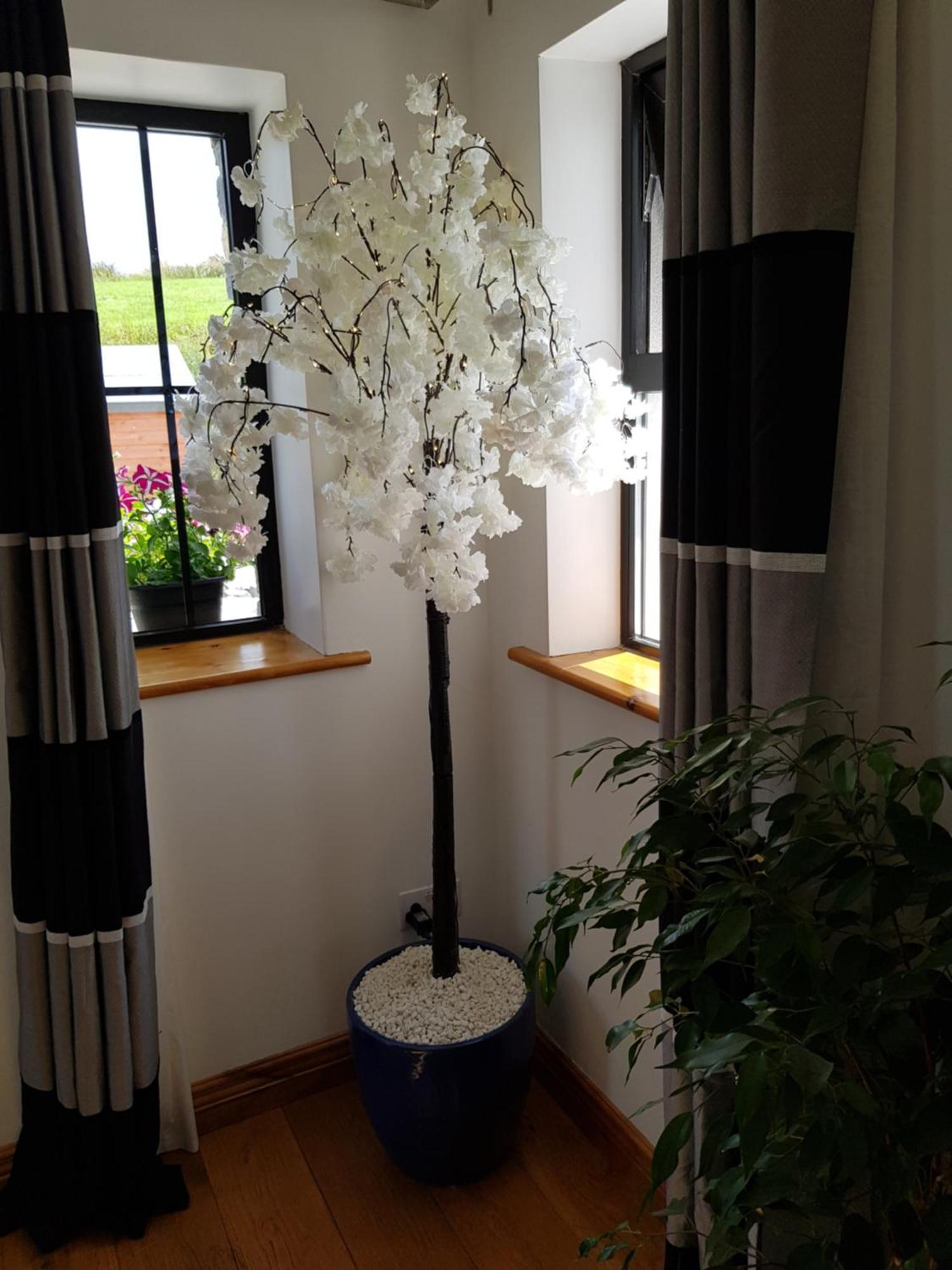 Atlantic Coast Holiday Home Mountcharles Ngoại thất bức ảnh